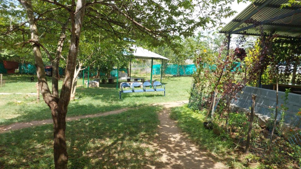 Green Hills Farm And Guest House Masinagudi Dış mekan fotoğraf